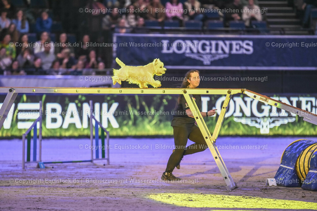 20231115_Dog-Agility_0072_TOMsPiC | Foto: Thomas Hartig