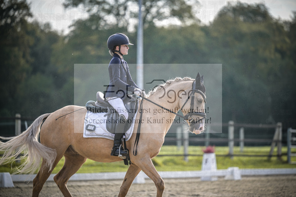 DOS_4687 | Entdecke hochwertige Reitturnierfotos von Foto Oger. Professionell, emotional und authentisch – jetzt Lieblingsmomente im Shop bestellen.Deutschlandweite Turnierfotografie. - Realisiert mit Pictrs.com