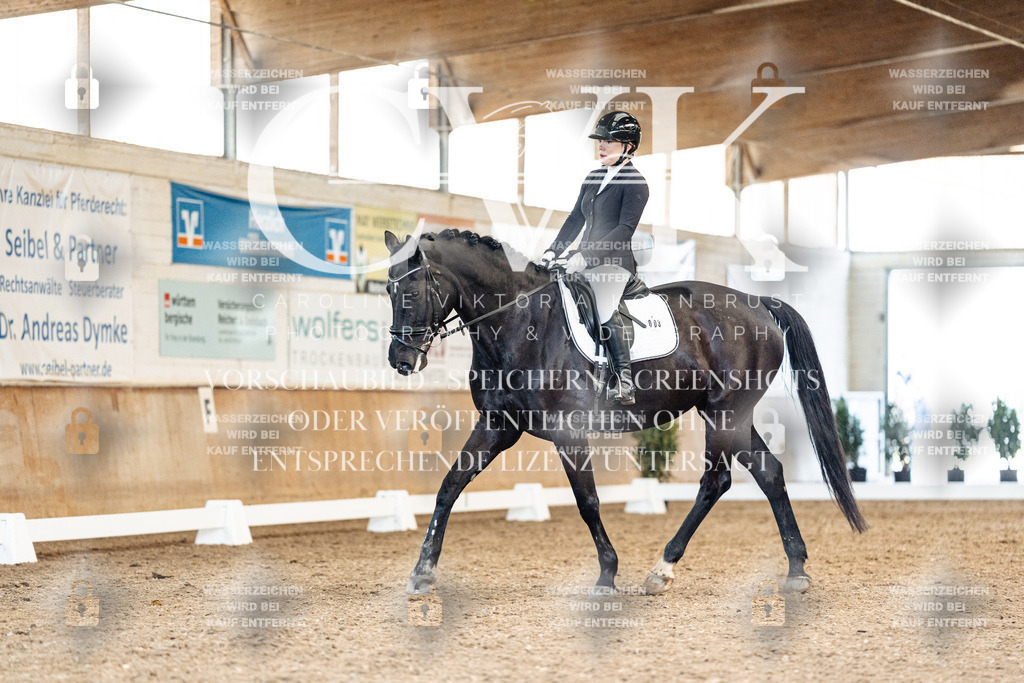 CK909541 | Turnierfotografie Pferdefotografie Trier Rheinland-Pfalz Pferdesport Reitsport Tierfotografie Sportfotografie Pferdevideo Pferdevideografie Equestrianvideography equestrianphotography  - Realisiert mit Pictrs.com