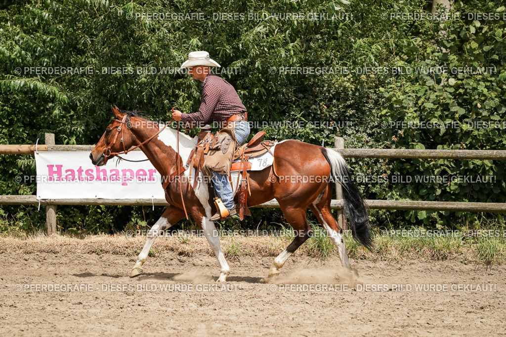 DSC09747 | Pferdegrafie