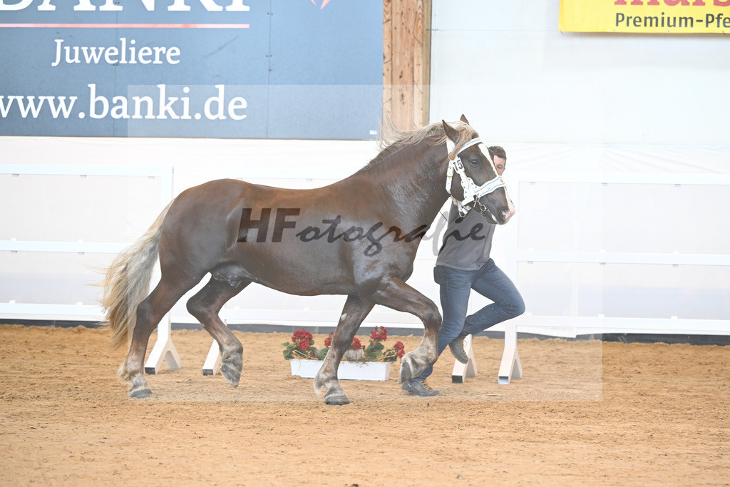 Kat-Nr. 15 v. Sambuca_Kotz_2230133 | hf-fotografie - Realisiert mit Pictrs.com