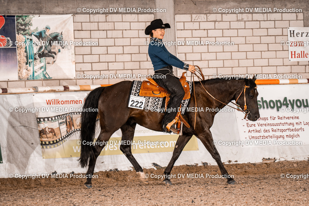 ZH100271 | dv-media-shop - Realisiert mit Pictrs.com