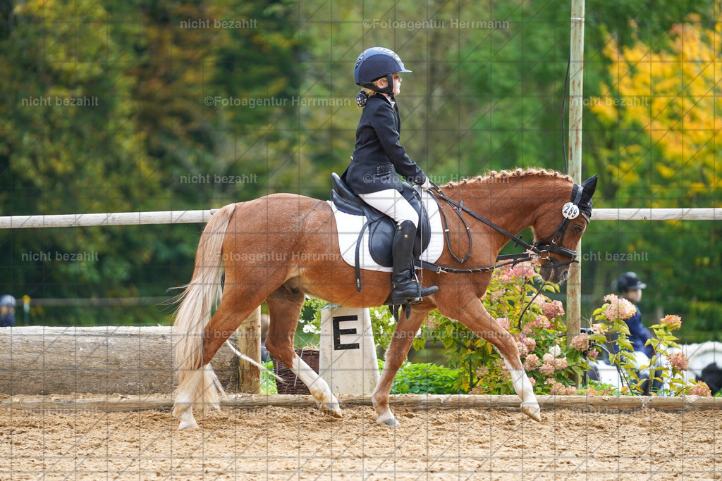20221008-FAH01219 | Diessen am Ammersee, 2022, Dressur- und Springturnier, Reitsportbilder, Turnierfotografen Bayern, Pferdefotografen, Fotoagentur Herrmann, Turnierbilder