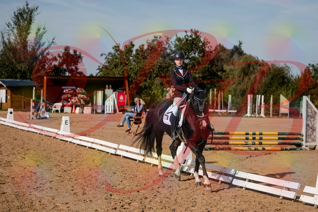 2026_10_03_Siefer-Hof_121654_Z63_40526308 | Professionelle Reitsport-, Turnier- und Eventfotografie von Robert Broda. Galerien mit ausgewählten und bearbeiteten Bildern direkt online ansehen und bestellen.
