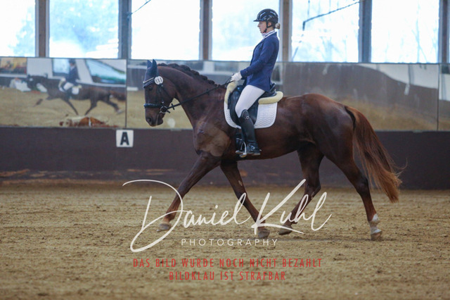 IMG_7938 | Turniersportfotografie; Pferdefotografie; Dressurfotografie