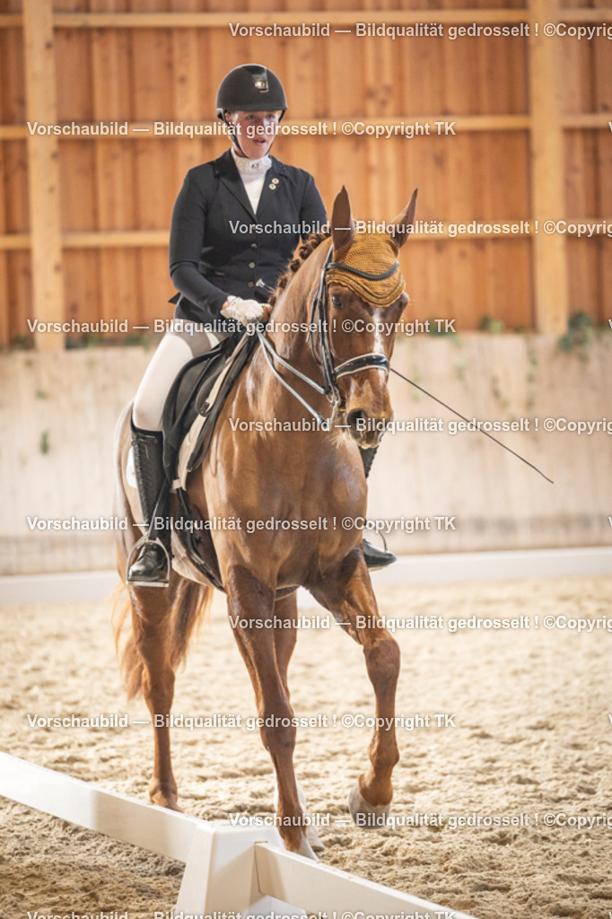 _D5A9417 | Emotionale Pferde- & People-Fotografie rund um Heidelberg, Leimen & Umgebung. Natürliche Fotos von Pferd, Mensch & Familie. Jetzt Termin sichern!