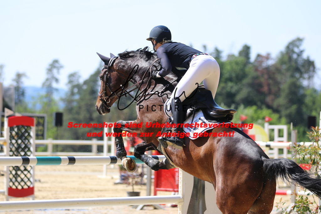 IMG_2767 | lmwpictures - Realisiert mit Pictrs.com