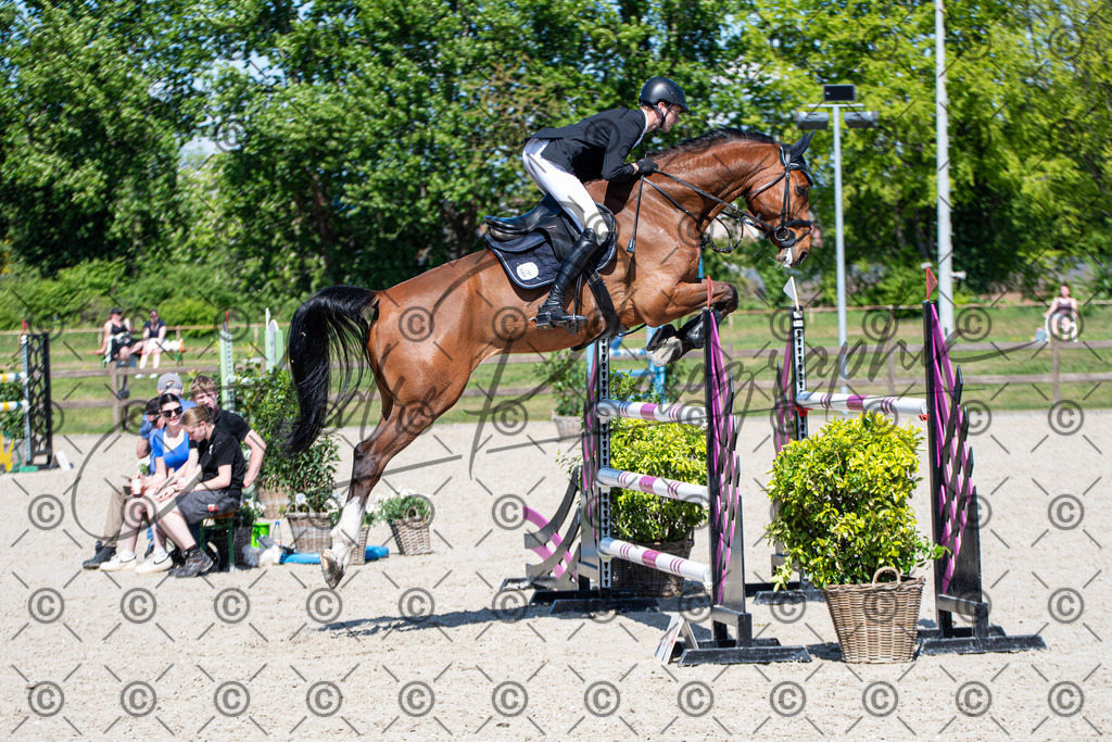 KPT_1378 | andre_photographic