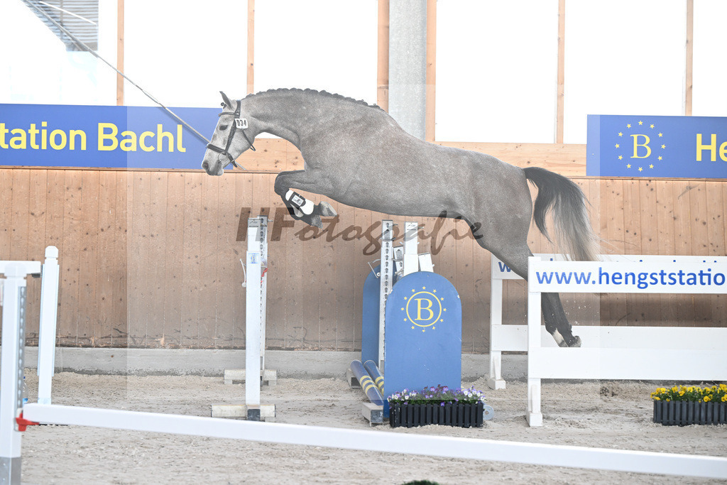 Kat-Nr. 34 Kalea v. Vingino_Bachl_5250674 | hf-fotografie - Realisiert mit Pictrs.com
