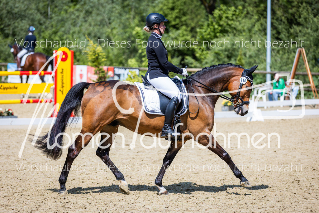 Donop24-L-Dre-105 | MomenTaufnahmen Pferdesportfotos