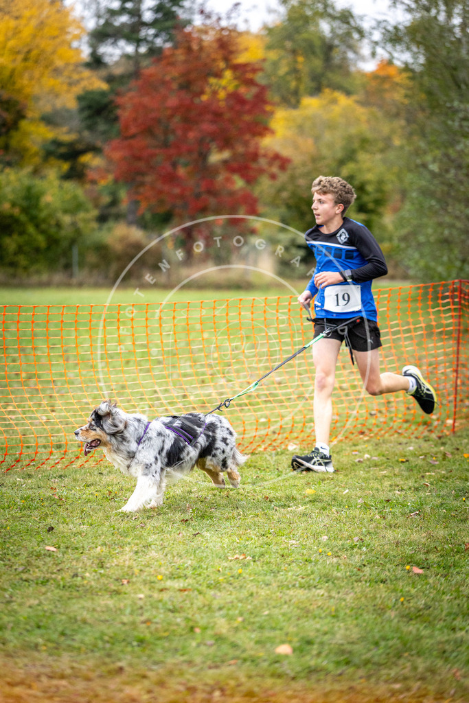 Pfotenfotografie_DV3A1925 | Hundefotografie, Tierfotograf, Pfotenfotografie, Fotoshooting Hund, Hunde Portrait, Hundesport, Hundeportraits, Heideshooting, Hunde, Sportfotograf, Hundefotograf, Turnierhundsport, THS,  - Realisiert mit Pictrs.com