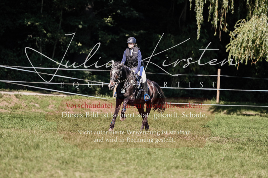 DSC_3256 | Pferde- und Turnierfotografie in Westsachsen. Pferdeportraits, Auftragszeichnungen und intuitive Kunst.