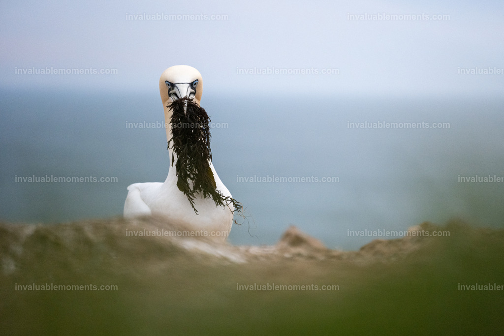 DSC_7110 | invaluablemoments.com - Realisiert mit Pictrs.com