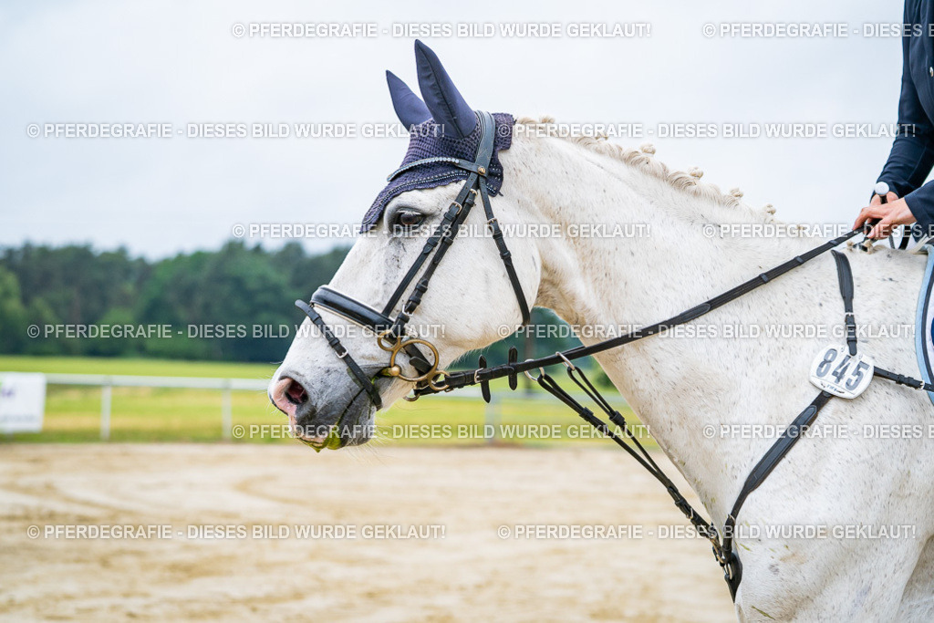 DSC01861 | Pferdegrafie