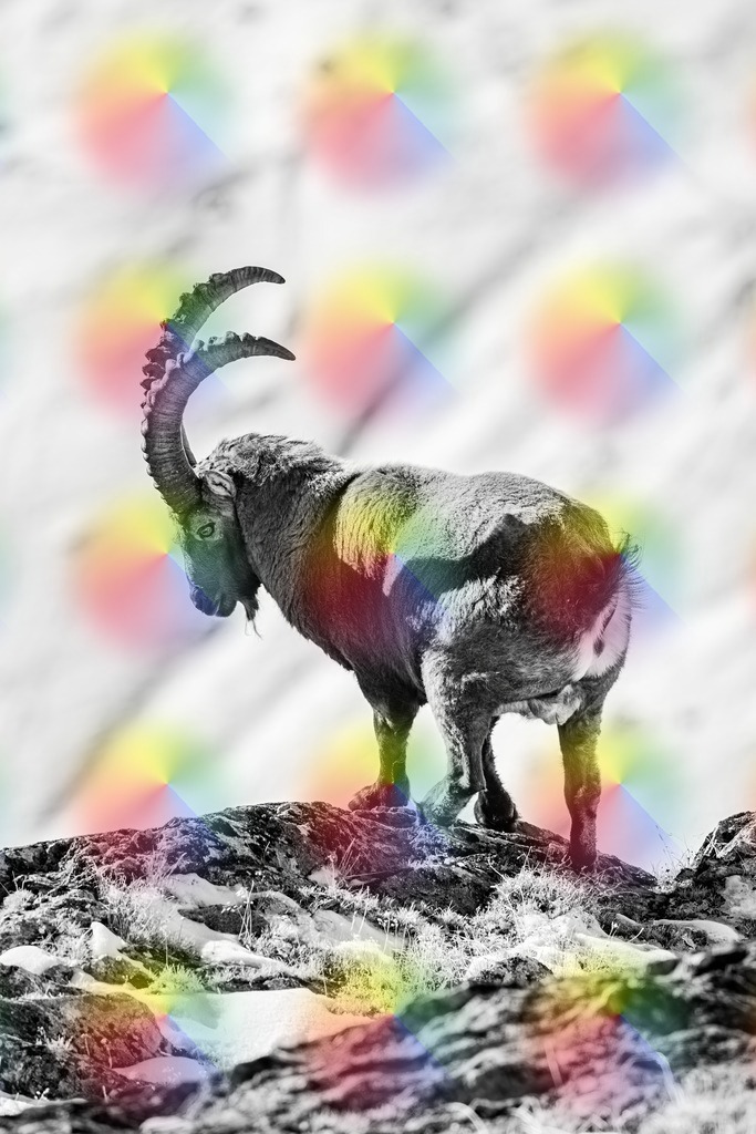 148A4936 | FineArtPrint, Hahnemühle, FeeGalerie, Fee Galerie, Fotokunst, Fotografie, Canonphotography, Bergfoto, Matterhorn, Rimpfischhorn, Allalinhorn, Saas-Fee, Wallis, Valais, Switzerland, Bergfotografie