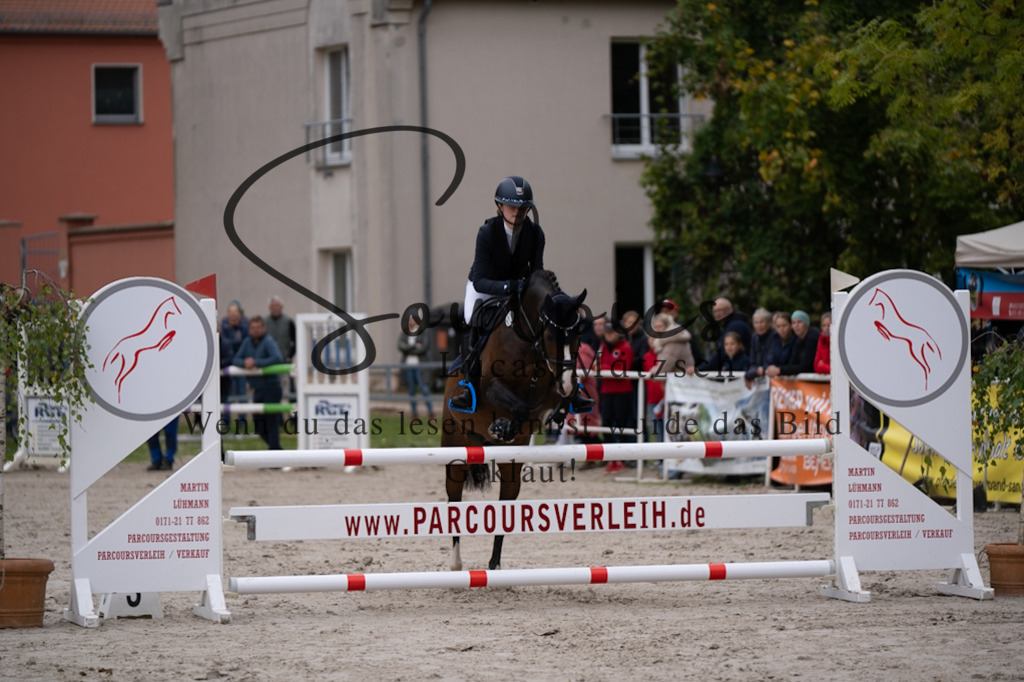 A7V07766 | Pferdefotograf