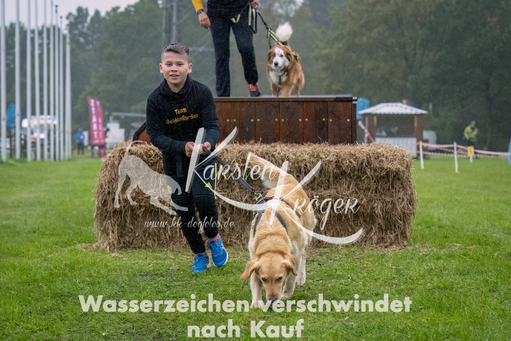 0911-_ZZ93468-Bearbeitet | kk-dogfotos