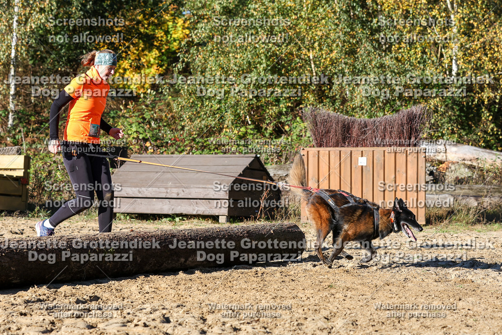 Dog Paparazzi - Strongdog 10-25-2027 | Dog Paparazzi Jeanette Grottendiek Fotografie & Videografie - Realisiert mit Pictrs.com