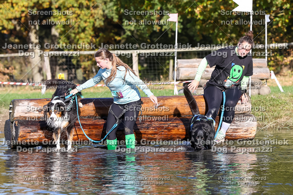 Dog Paparazzi - Strongdog 10-25-8842 | Dog Paparazzi Jeanette Grottendiek Fotografie & Videografie - Realisiert mit Pictrs.com