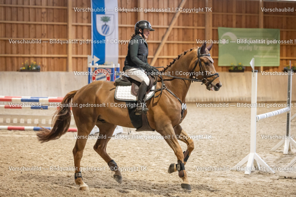 _D5A7375 | Emotionale Pferde- & People-Fotografie rund um Heidelberg, Leimen & Umgebung. Natürliche Fotos von Pferd, Mensch & Familie. Jetzt Termin sichern!