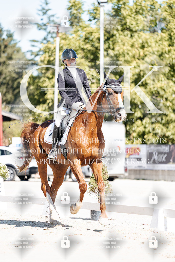 CK908951 | Turnierfotografie Pferdefotografie Trier Rheinland-Pfalz Pferdesport Reitsport Tierfotografie Sportfotografie Pferdevideo Pferdevideografie Equestrianvideography equestrianphotography  - Realisiert mit Pictrs.com