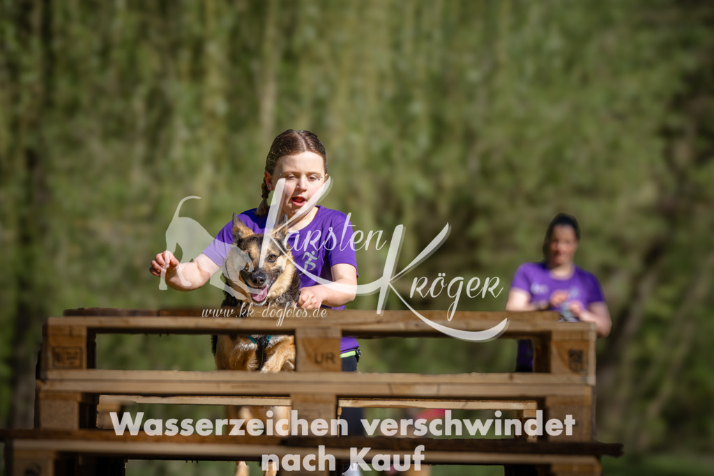 1011_ZZ94572 | kk-dogfotos