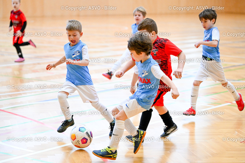 ASVÖ_ Fussball Nachwuchs Hallenturnier 2026_ SV Gallneukirchen_ 28.02.2026-50 | 28.02.2026, Gallneukirchen, AUT, ASVÖ, Fussball Nachwuchs Hallenturnier 2026, SV Gallneukirchen im Bild Teilnehmer U7©Harald Dostal / fodo.media - Realisiert mit Pictrs.com