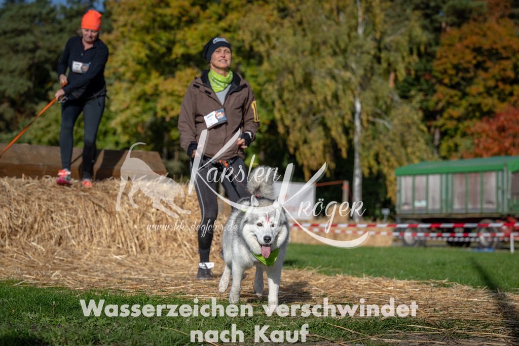 1008_ZZ92529 | kk-dogfotos