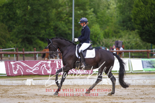 DKP40606 | Turniersportfotografie; Pferdefotografie; Dressurfotografie