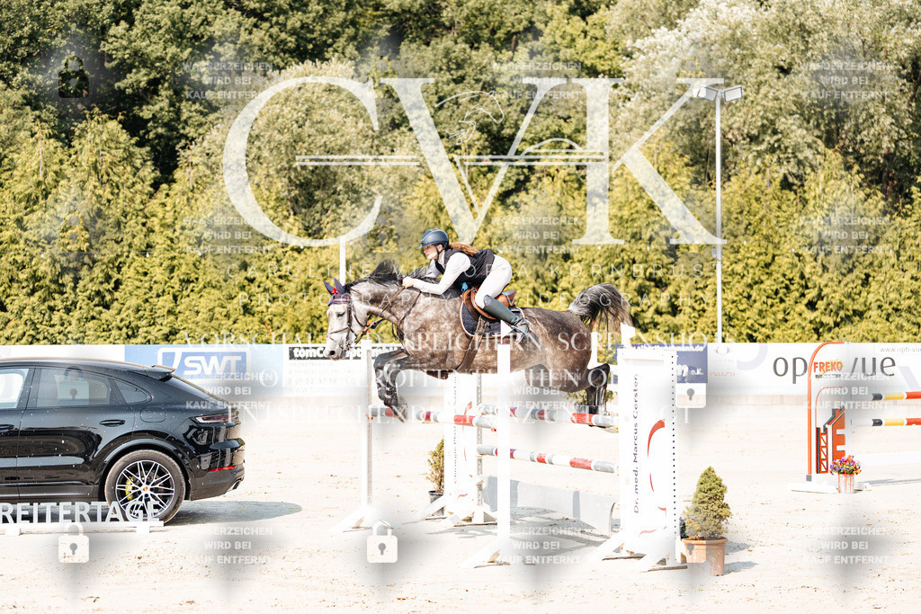 CK902436 | Turnierfotografie Pferdefotografie Trier Rheinland-Pfalz Pferdesport Reitsport Tierfotografie Sportfotografie Pferdevideo Pferdevideografie Equestrianvideography equestrianphotography  - Realisiert mit Pictrs.com