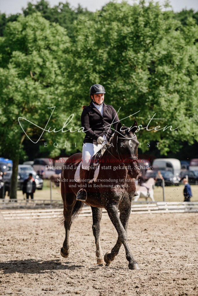 DSC_0206 | Pferde- und Turnierfotografie in Westsachsen. Pferdeportraits, Auftragszeichnungen und intuitive Kunst.