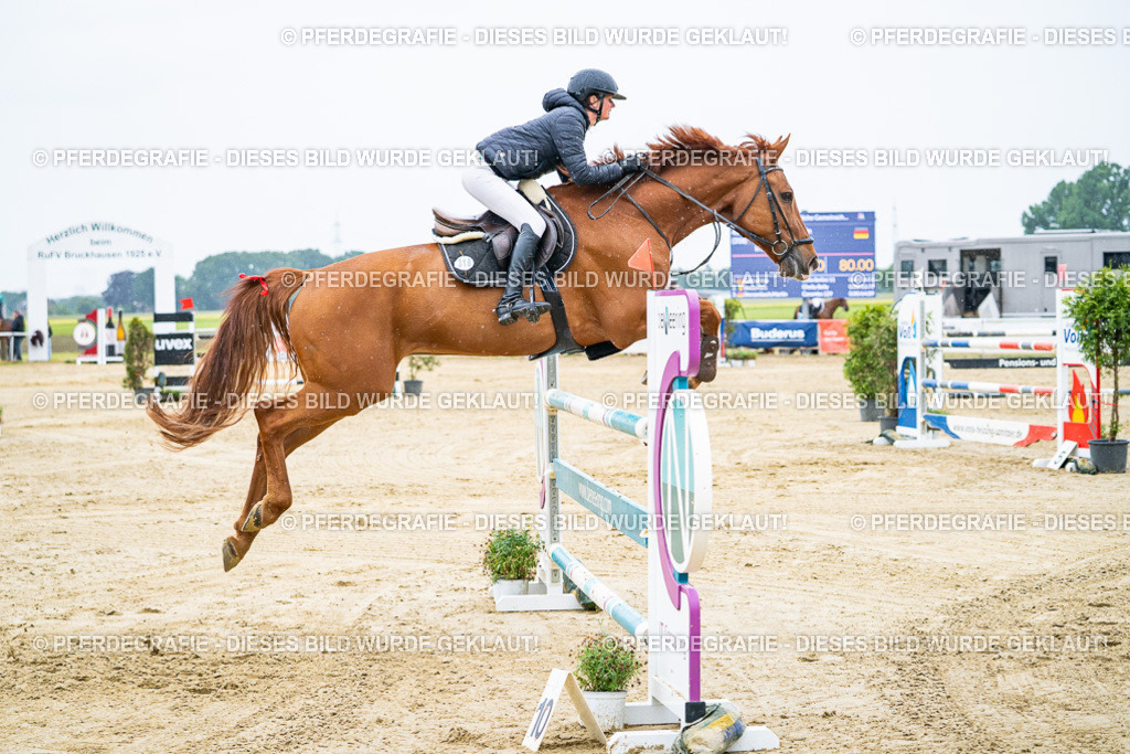 DSC08095 | Pferdegrafie