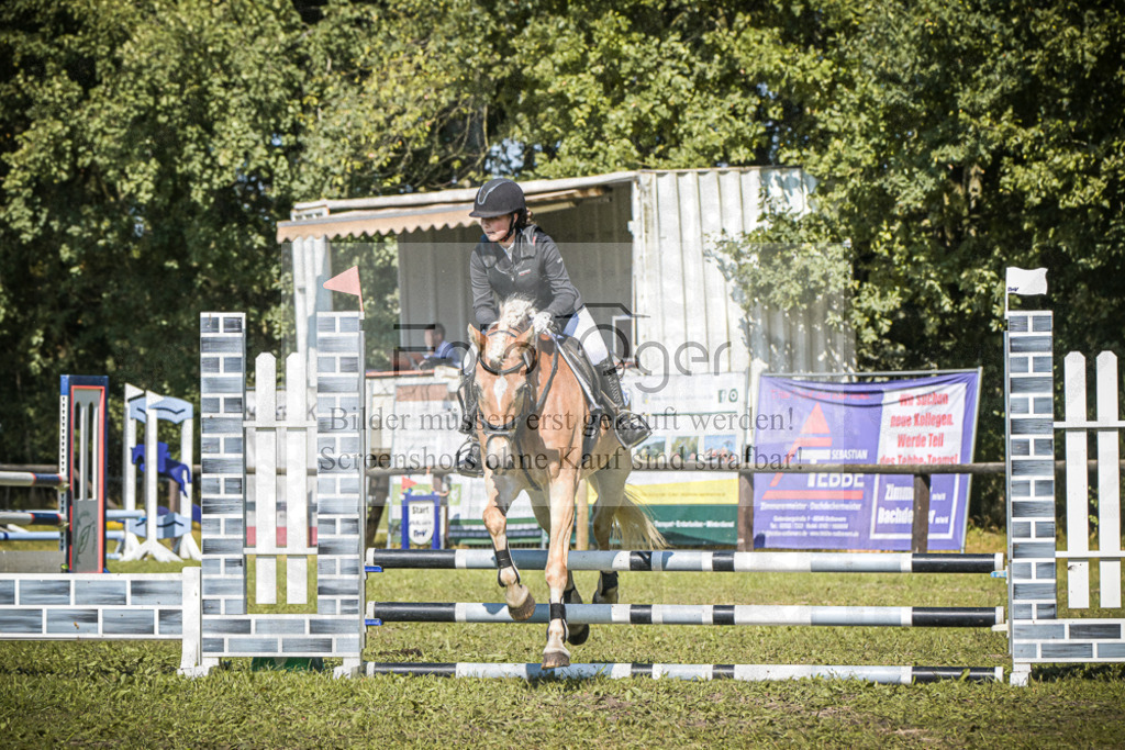 DOS_0080 | Entdecke hochwertige Reitturnierfotos von Foto Oger. Professionell, emotional und authentisch – jetzt Lieblingsmomente im Shop bestellen.Deutschlandweite Turnierfotografie. - Realisiert mit Pictrs.com