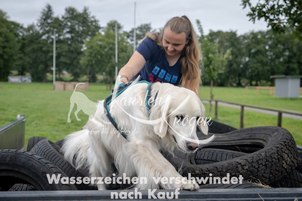 1215_ZZ94953 | kk-dogfotos