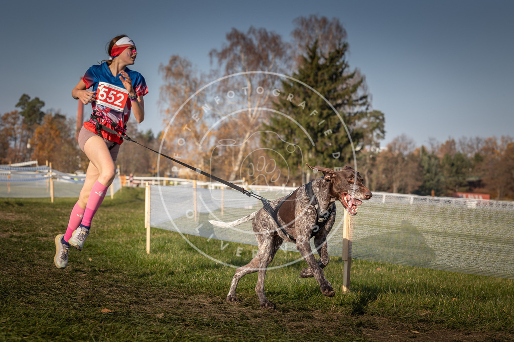 CaniXpix_0L8A9170 | Hundefotografie, Tierfotograf, Pfotenfotografie, Fotoshooting Hund, Hunde Portrait, Hundesport, Hundeportraits, Heideshooting, Hunde, Sportfotograf, Hundefotograf, Turnierhundsport, THS,  - Realisiert mit Pictrs.com