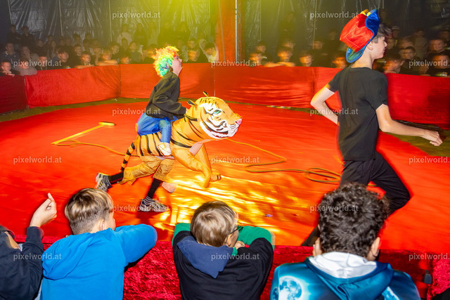 Zirkusvorstellung der MS Feldkirchen Digital | Bildershop von pixelworld.at - Realisiert mit Pictrs.com