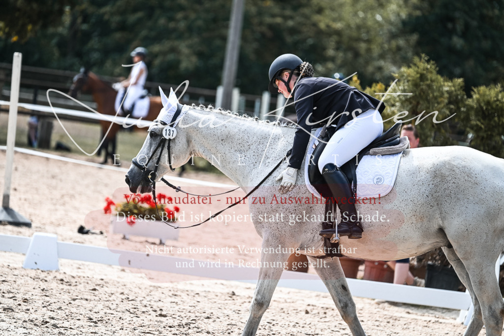 DSC_5326 | Pferde- und Turnierfotografie in Westsachsen. Pferdeportraits, Auftragszeichnungen und intuitive Kunst.