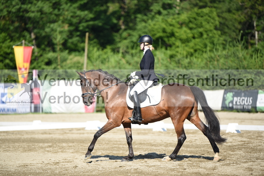 DSC_7149 | equestrian-live-com