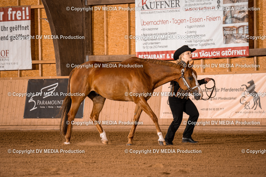 NE100014 | dv-media-shop - Realisiert mit Pictrs.com