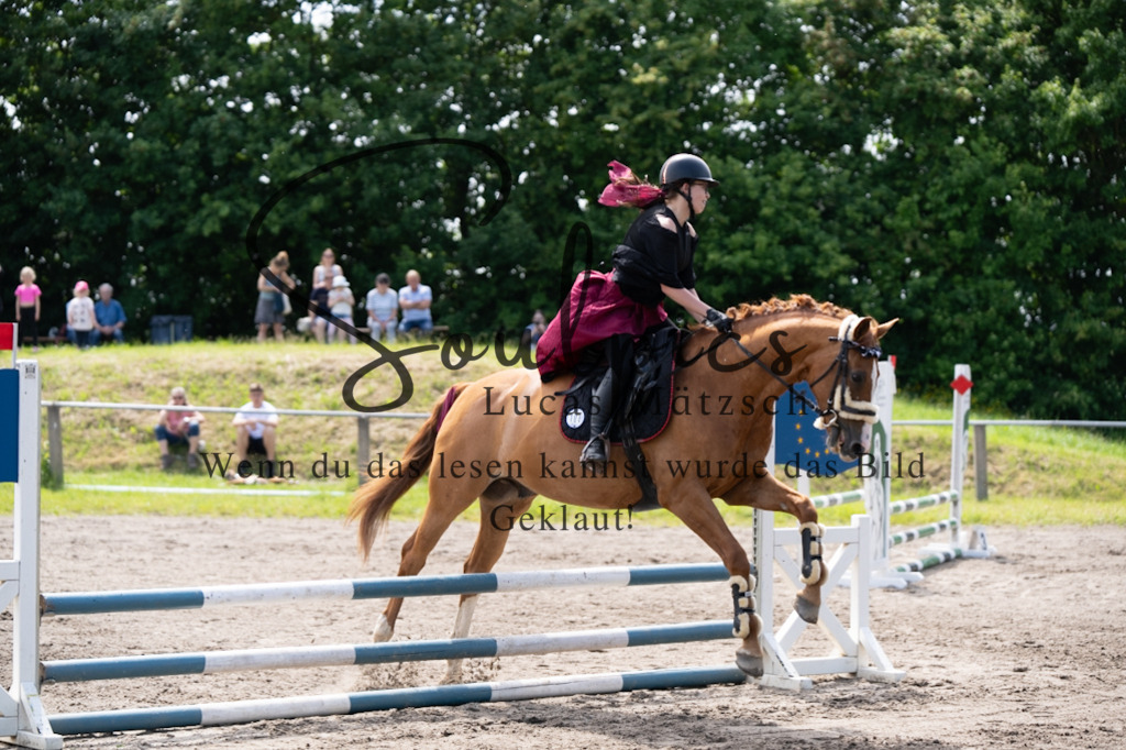 A7V04625 | Pferdefotograf