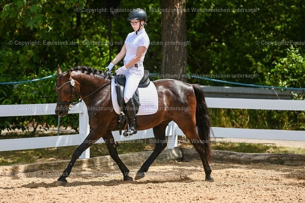 20230715_09_Dressur-WB_0227 | equistock