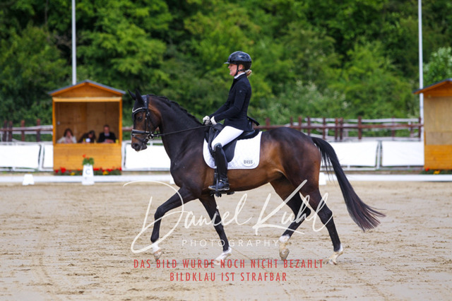 DKP45926 | Turniersportfotografie; Pferdefotografie; Dressurfotografie