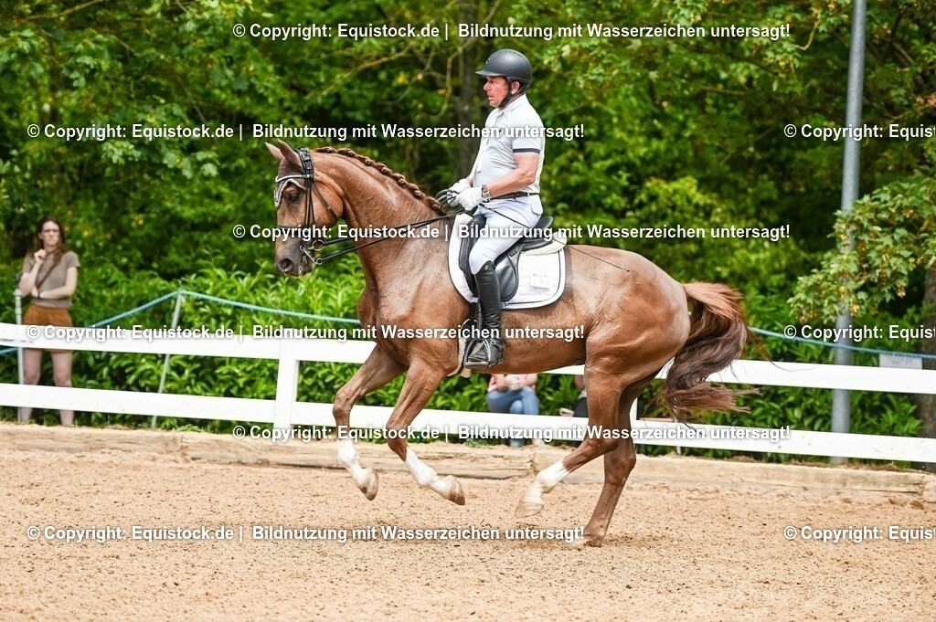 20230716_01_Dressurprüfung Kl.M_0099 | equistock