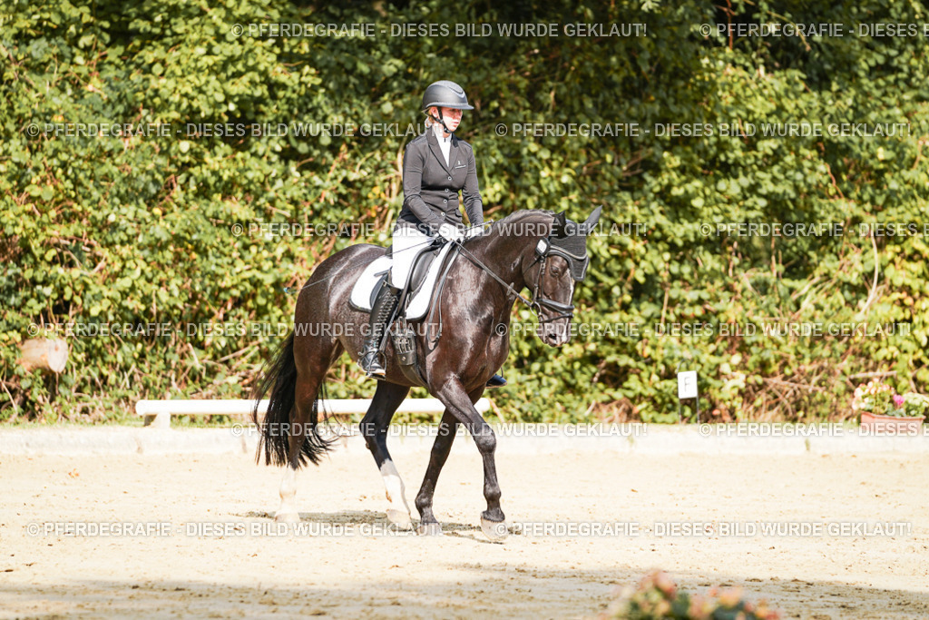 DSC02277 | Pferdegrafie