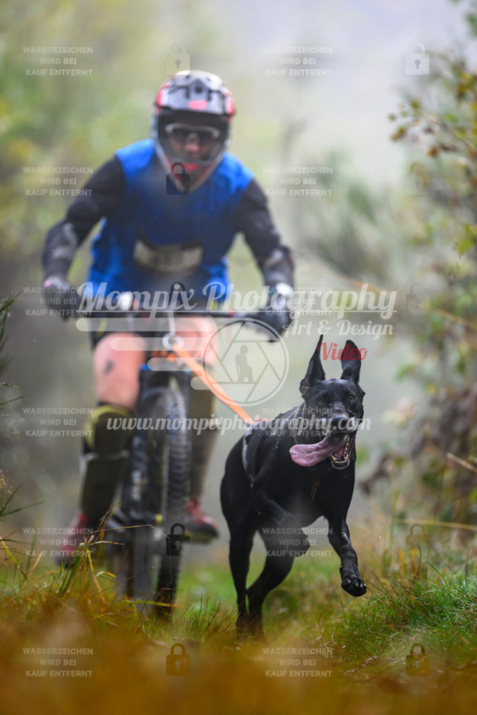 MompixPhotography_20TSB_E4_Bike-57 | PayLife