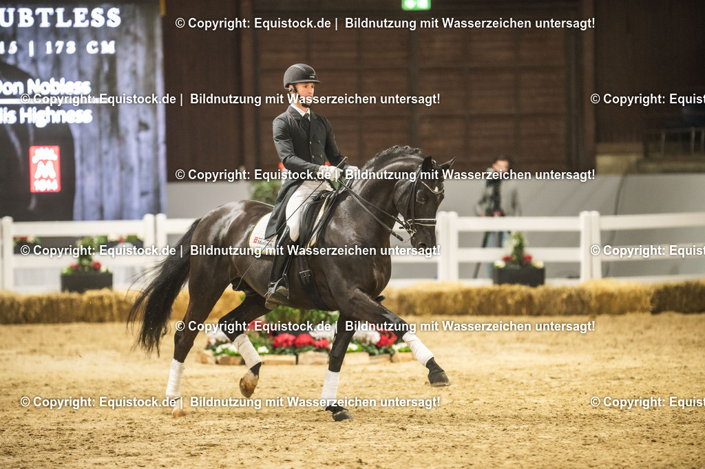 20240302_Hengstvorstellung_Marbach_TOMsPiC_1520 | equistock