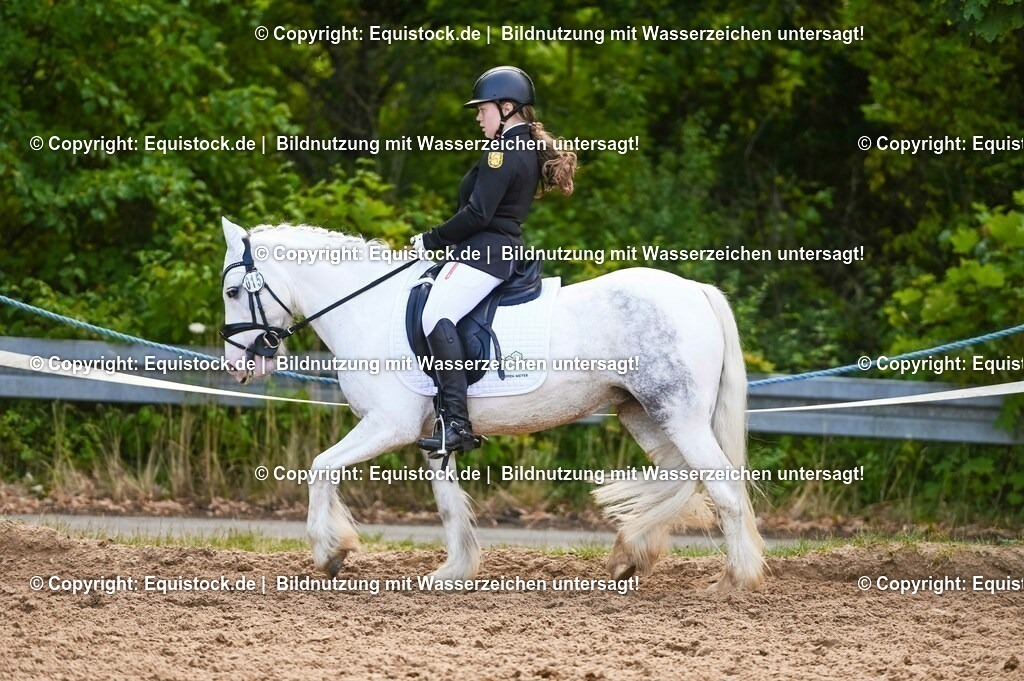 20230716_04_Dressurreiterprüfung Kl.A_0461 | equistock