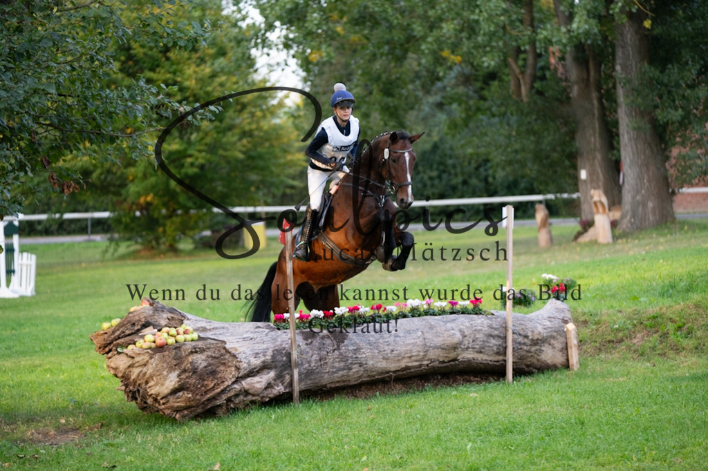 A7V02799 | Turnier/Reitfotograf