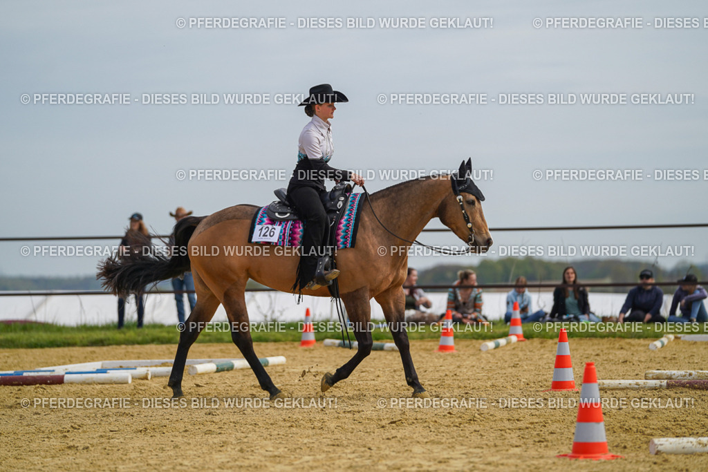 DSC03716 | Pferdegrafie