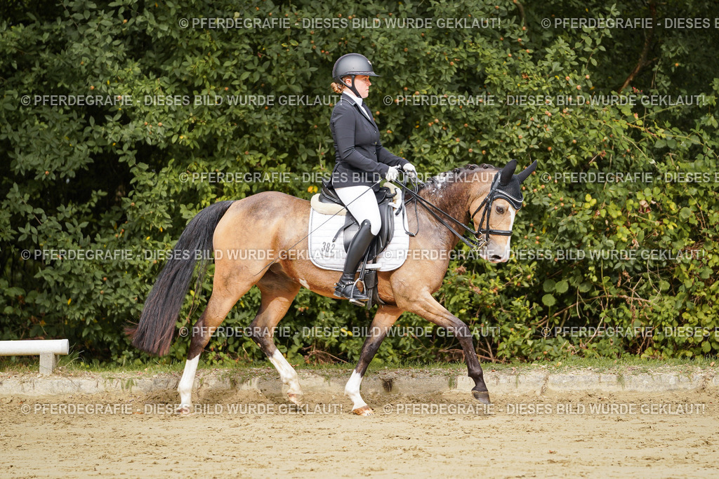 DSC02548 | Pferdegrafie